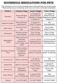 benadryl dosage chart for cats google search meds for