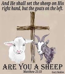 Biblical teachings on helping others and good works