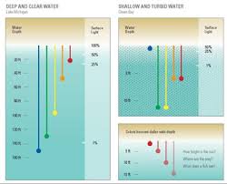 Selecting Lure Colors For Successful Fishing