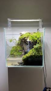 Banyak kreasi masyarakat dunia yang unik menarik dalam beraneka macam bentuk aquarium sekarang bisa anda temui dari berbagai macam barang yang tidak lazim. 900 Aquarium Setup Ideas In 2021 Aquarium Setup Aquarium Fish Tank