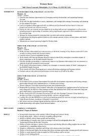 $120k average director of strategic accounts salary in the united states. Director Strategic Accounts Resume Samples Velvet Jobs