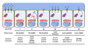 Check spelling or type a new query. Case Study Cf Mutations