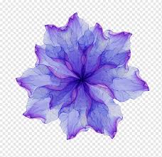 All of these purple flower resources are for free download on pngtree. Watercolor Blue And Purple Flowers Blue Flower Flowers Transparent Flowers Png Pngwing