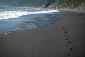 We did not find results for: Footprints On A Black Sand Beach On The Lost Coast Trail Northern Ca Photograph By Cavan Images