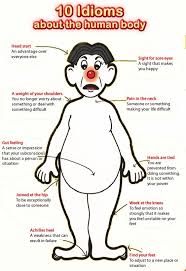 English Idioms Taken From The Human Body Courtesy Of Easy Pace Learning Idioms Human Body Lesson English Lessons
