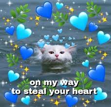 Pin By On Cute Cat Memes Cute Memes Wholesome Memes