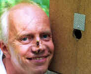 Hornissen, die Hornisse (vespa crabro)