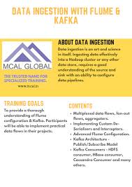data ingestion is an art and science in