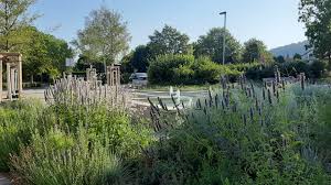 Ihr landschaftsgärtner, hier werden träume wahr. Sager Gmbh Wir Sind Die Gartenbauer