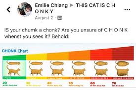 Chonk Chart Chonk Oh Lawd He Comin Know Your Meme
