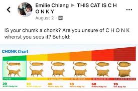 chonk chart chonk oh lawd he comin know your meme