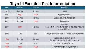 Image result for Thyroid Function Test