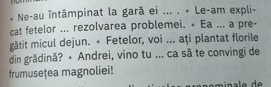 În unele cazuri poate fi antepus sau postpus acestuia, în altele numai postpus. CompleteazÄ EnunÈurile De Mai Jos Cu Adjectivele Pronominale De IntÄrire Potrivite Brainly Ro