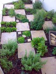 Stone Tiles In The Garden Create An Easy Walkway Herb Garden Design Easy Backyard Diy Plants