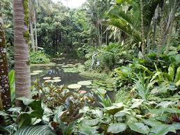 Singapur Botanischer Garten Unesco Welterbe Und Grunes Paradies Botanischer Garten Garten Ideen Orchideen Garten