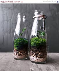 100 Stunning Bonsai Terrarium For Miniature Landscaping In The Jars Https Decomg Com Stunning Bonsa Bottle Garden Glass Bottle Diy Terrarium Plants For Sale