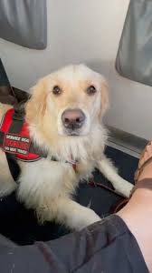 Dis RosieTosie work for her Mama to keep her safe