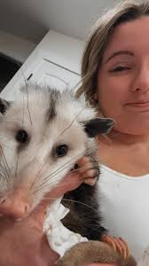 Where can I hold an opossum in Grand Rapids?