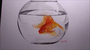 To color the goldfish use either paints or colored pencils. Goldfish In A Bowl Pencil Drawing Time Lapse Youtube