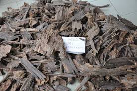 *permohonan adalah secara online melalui portal online atau borang yang telah ditetapkan di lembaga perindustrian kayu malaysia (mtib) *permohonan hendaklah sampai kepada pihak mereka sebelum/pada tarikh tutup. Portal Rasmi Lembaga Perindustrian Kayu Malaysia Mtib Portal Rasmi Lembaga Perindustrian Kayu Malaysia Mtib