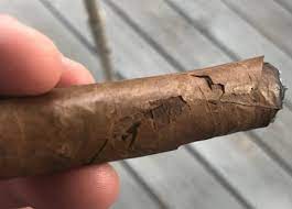 How To Restore Dry Cigars - Windy City Cigars