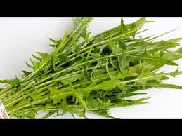 · cook them uncovered for 10 minutes until tender. Dandelion Greens 101 Youtube