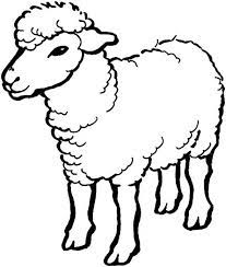 The sheep in latin are called ovis aries. Sheep 1 Coloring Page Super Coloring Farm Animal Coloring Pages Animal Coloring Pages Sheep Drawing