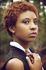 18 15 N 77 30 W Natural Hair Styles Short Natural Hair Styles Hair Diary