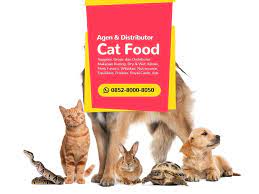 Terlengkap Wa 0852 8000 8050 Jual Makanan Kucing Jakarta Makanan Kucing Makanan Anjing Anjing