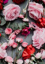 We did not find results for: Ø®Ù„ÙÙŠØ§Øª Ø­Ù„ÙˆÙ‡ Ù„Ù„Ù‡Ø§ØªÙ Love Ø®Ù„ÙÙŠØ§Øª Ø­Ù„ÙˆÙ‡ Ù„Ù„ÙƒÙ…Ø¨ÙŠÙˆØªØ± Ø§Ø¬Ù…Ù„ Ø®Ù„ÙÙŠÙ‡ ÙƒÙˆÙ…Ø¨ÙŠÙˆØªØ± Ø±Ø³Ø§Ø¦Ù„ Ø­Ø¨