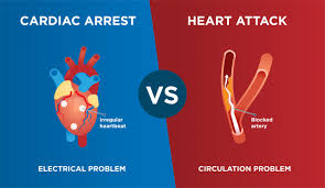 Cardiac arrest is the abrupt loss of heart function in a person who may or may not have been diagnosed with heart disease. Differences Between Heart Attack And Cardiac Arrest Rapid Response Revival