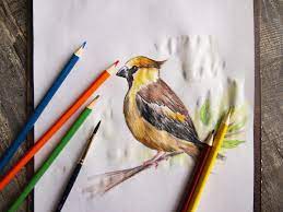 Blend a small set of pencils to get a wide range of colors. Best Watercolor Pencils For Drawing Artnews Com
