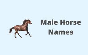 We did not find results for: Famous Horse Names In Indian History In Hindi 110 Indian Horse Names With Meanings By Kidadl Famous For Their Beautiful Features And Ambling Gaits These Are Equines That Trot With