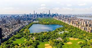 First child tax credit payments have been sent. New York City Immigration Lawyers Smotritsky Law Group Pllc
