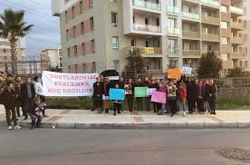 Ozel Sokak Kedisi Beslediler Site Yonetimiyle Davalik Oldular Sokak Kedilerini Besleyen Site Sakinlerine Para Cezasi Izmir Haberleri