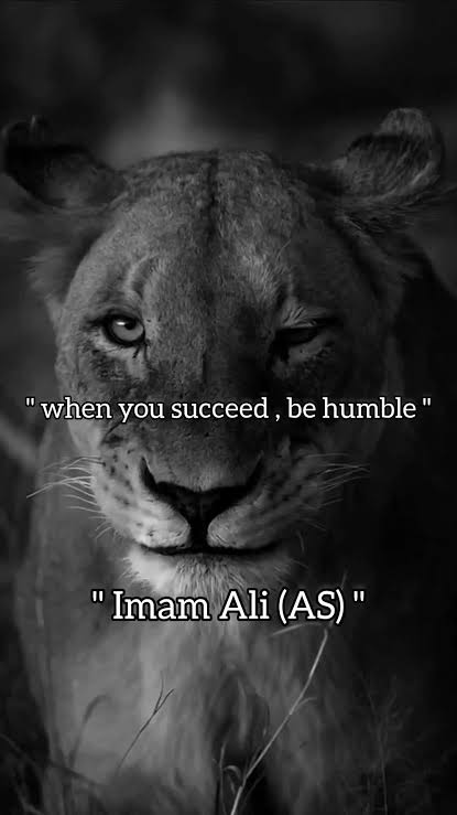 Imam Ali (AS) Quotes on Success and Inspiration