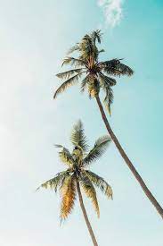 Great prices, excellent customer service. Latest Wallpapers Enjpg