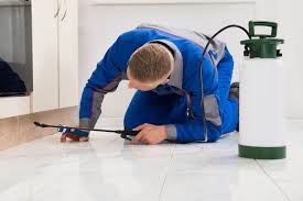 Find jackson county, ga exterminators. Pest Control Gainesville Ga 1 Exterminator For Unwanted Guests