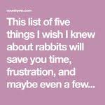 Wetterfester Kaninchenstall 118 X 61 X 130 Cm Mit 2 Etage Https Www Amazon De Dp B010sn3p7i Ref Kletki Dlya Krolikov Kletka Dlya Zhivotnyh Kletka Dlya Krolika