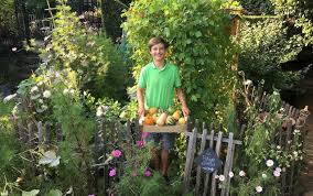 Les Miracles Verts De Ce Jeune Jardinier Belge Sur 15m2 Jardins Potager Belge