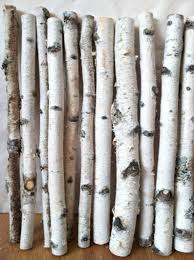 20 White Birch Logs Etsy Birch Tree Decor Birch Logs Birch Branches