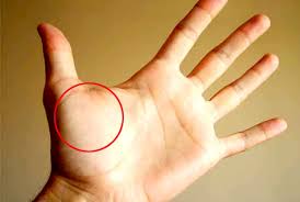 Arms, shoulders, right ear, upper ribs and right hand. Mount Venus On Your Palm Speaks A Lot About You Know More Newstrack English 1