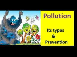 Pin By Rachel Weir On Cc Cycle 2 Pollution Activities Pollution Lesson Environmental Science Lessons