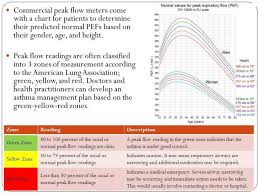 Peak Flow Meter Zone Chart Www Bedowntowndaytona Com