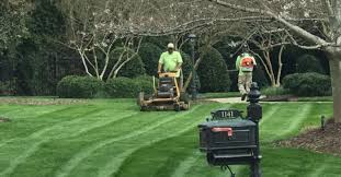 On our page you also get up to 4 free contractor quotes! Lawn Mowing Grass Cutting Services Raleigh Nc