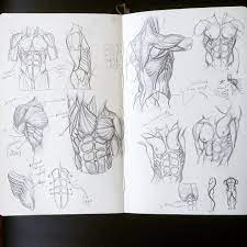 I did all this in english with no model. Greg Opalinski Torso Anatomy Drawing Anatomy Muscles