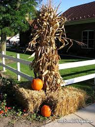 Pin On Fall Ideas