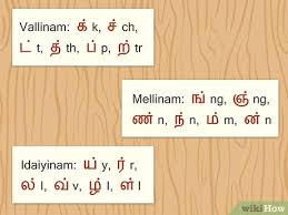 Tamil language 1st grade tamil worksheets for grade 1. How To Learn Tamil With Pictures Wikihow
