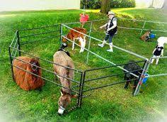 50 to 90% off deals in new jersey. 15 Traveling Petting Zoo Ideas Zoo Pet Travel Zoo Animals