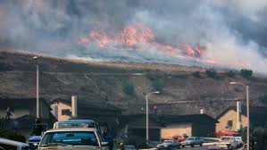 Image result for Orange 1980 Thomas Nationwide Transport